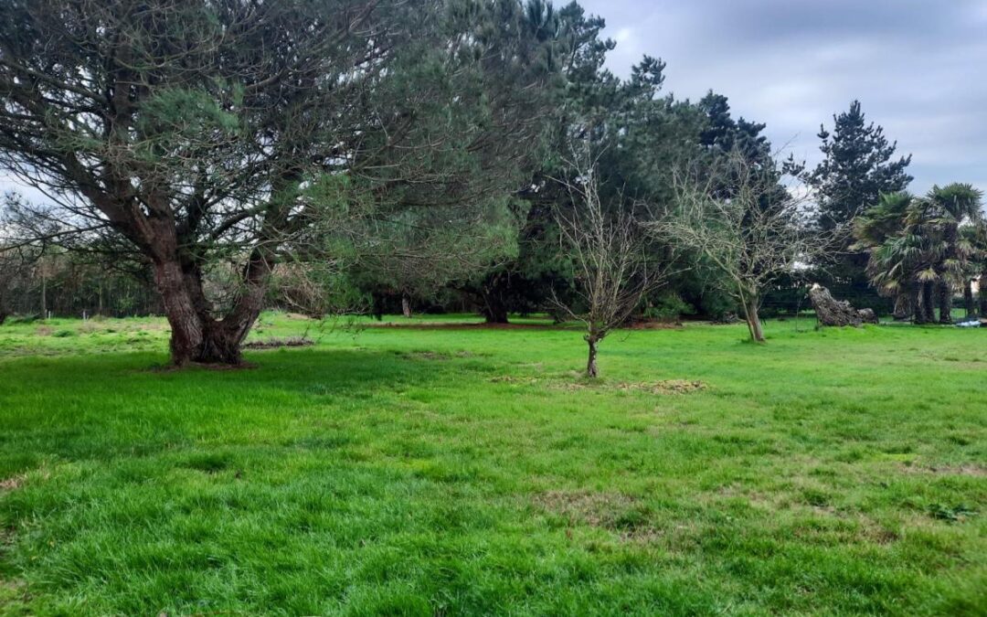 Vente Terrain – à Saint-urbain (85230)