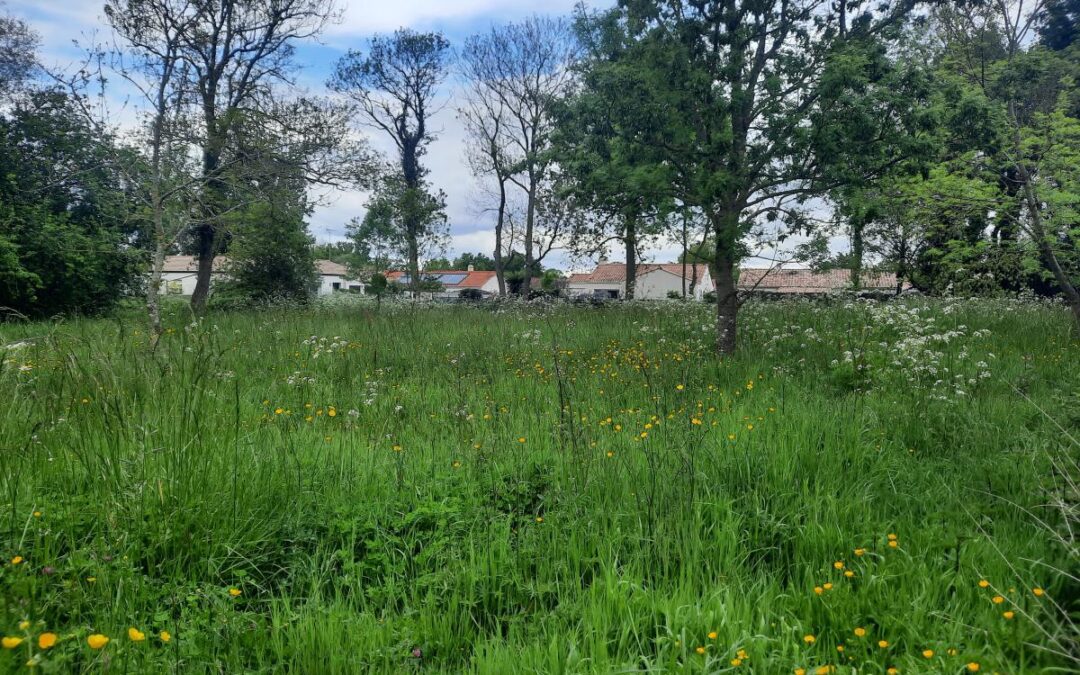 Vente Terrain – à Commequiers (85220)