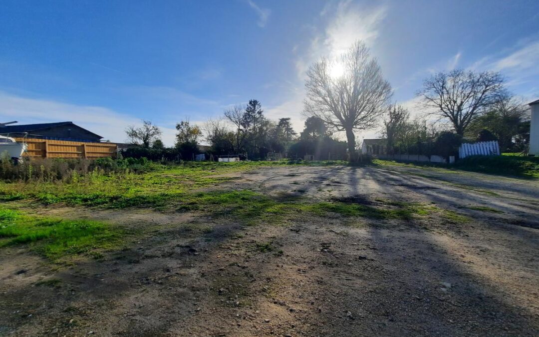 Vente Terrain – à Sallertaine (85300)
