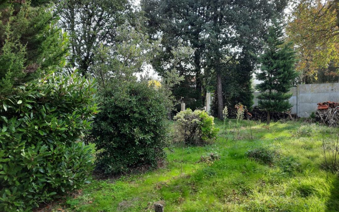 Vente Terrain – à Le Fenouiller (85800)