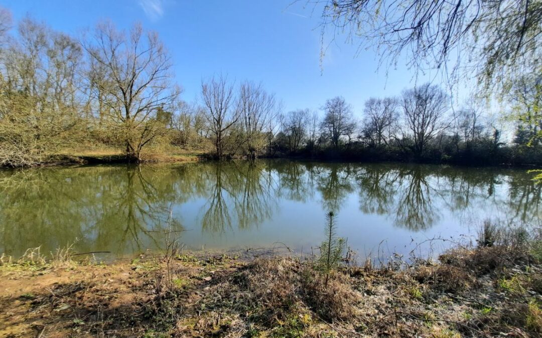 Vente Terrain – à Challans (85300)