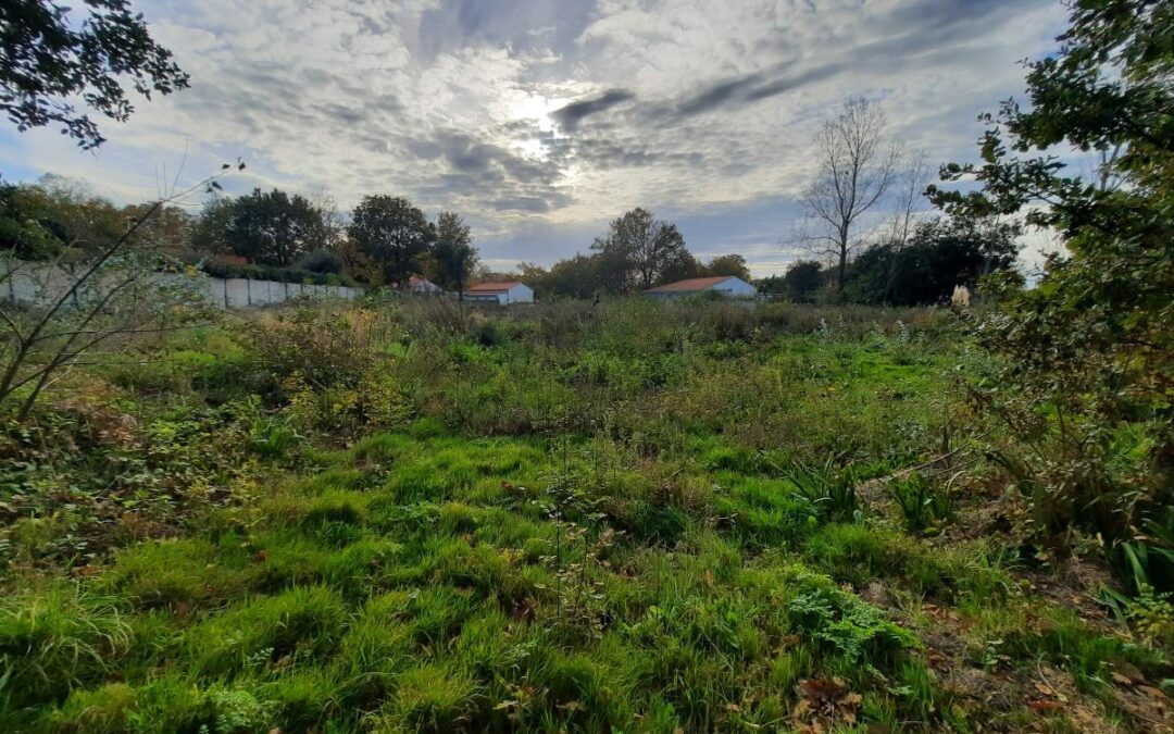Vente Terrain – à Saint-hilaire-de-riez (85270)