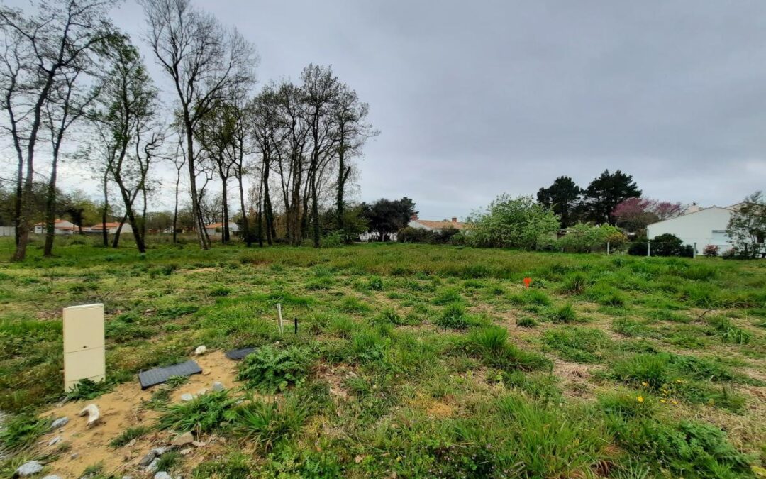 Vente Terrain – à Saint-hilaire-de-riez (85270)